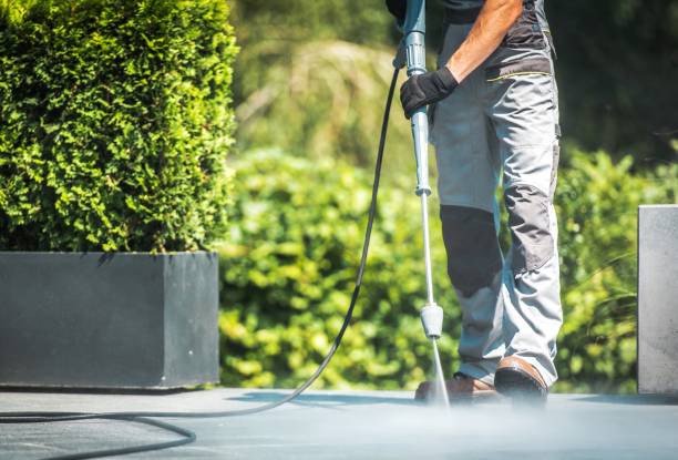Best Building Exterior Washing  in Citrus City, TX